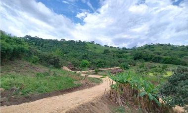 Venta de Lotes en La Mesa vía San Joaquín