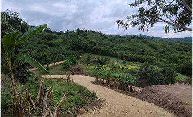 Venta de Lotes en La Mesa vía San Joaquín