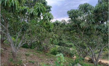 Venta de Lotes en La Mesa vía San Joaquín