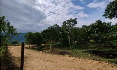 Venta de Lotes en La Mesa vía San Joaquín