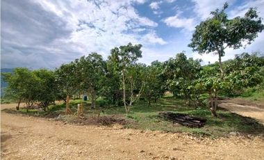 Venta de Lotes en La Mesa vía San Joaquín