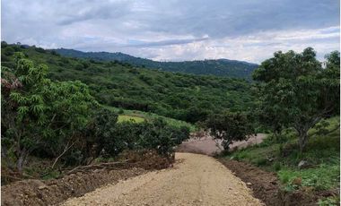 Venta de Lotes en La Mesa vía San Joaquín