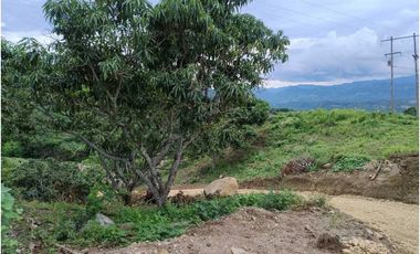 Venta de Lotes en La Mesa vía San Joaquín