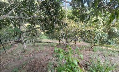 Lote con linda vista en Tena