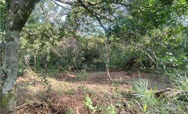 Lote con linda vista en Tena