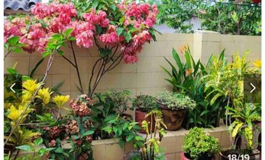 VENDO HERMOSA CASA UBICADISIMA PARAISO AREA 240 MTS  UNA PLANTA