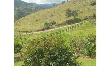 CASA FINCA EN VENTA EL RETIRO