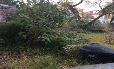 SAN JERÓNIMO LÍDICE, SE VENDE TERRENO CON USO HABITACIONAL