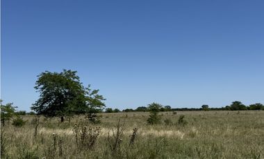 Campo en venta en Ranchos. 56 has mixto