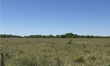 Campo en venta en Ranchos. 56 has mixto