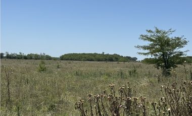 Campo en venta en Ranchos. 56 has mixto