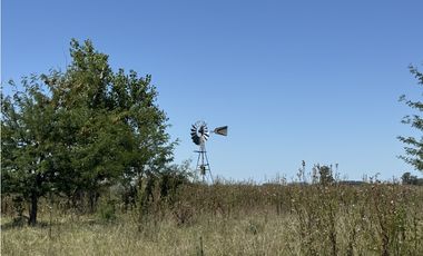 Campo en venta en Ranchos. 56 has mixto