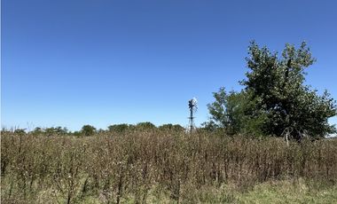 Campo en venta en Ranchos. 56 has mixto