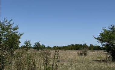 Campo en venta en Ranchos. 56 has mixto