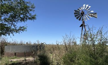 Campo en venta en Ranchos. 56 has mixto
