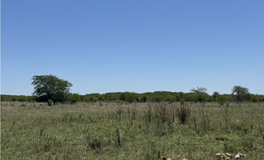 Campo en venta en Ranchos. 56 has mixto