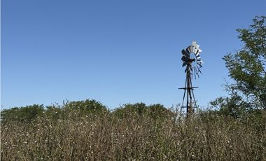 Campo en venta en Ranchos. 56 has mixto