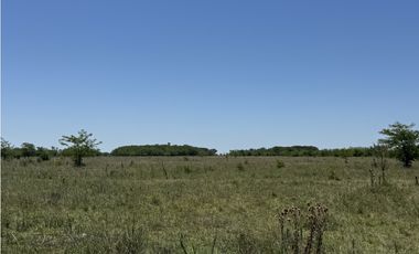 Campo en venta en Ranchos. 56 has mixto