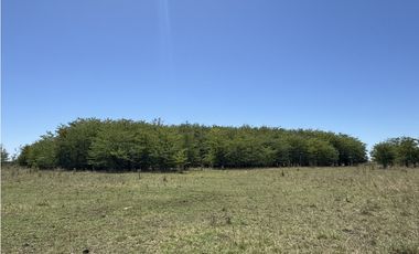 Campo en venta en Ranchos. 56 has mixto
