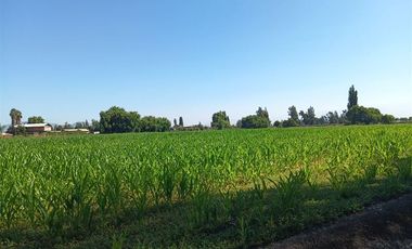 Sitio en Venta en Luis Cruz Martínez / Camino El Noviciado