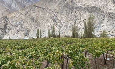 Parcela en Venta en PAIHUANO VALLE DEL ELQUI