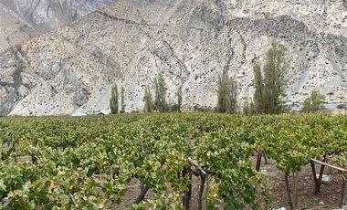 Parcela en Venta en PAIHUANO VALLE DEL ELQUI
