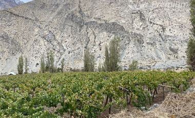 Parcela en Venta en PAIHUANO VALLE DEL ELQUI