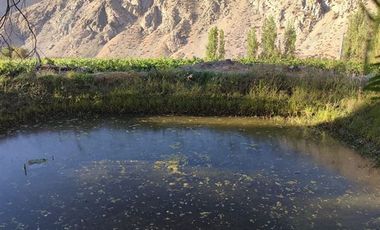 Parcela en Venta en PAIHUANO VALLE DEL ELQUI