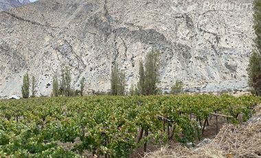 Parcela en Venta en PAIHUANO VALLE DEL ELQUI
