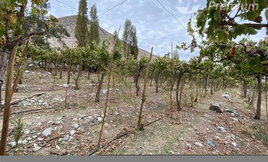 Parcela en Venta en PAIHUANO VALLE DEL ELQUI