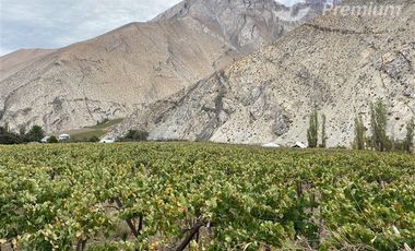 Parcela en Venta en PAIHUANO VALLE DEL ELQUI