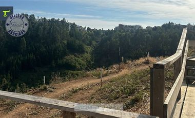 Sitio en Venta en Camino del atardecer idahue
