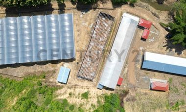 HACIENDA PRODUCTORA DE BIOMASA DE CBD