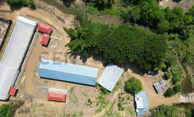 HACIENDA PRODUCTORA DE BIOMASA DE CBD