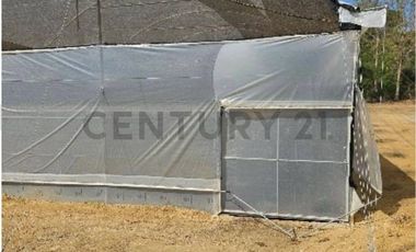 HACIENDA PRODUCTORA DE BIOMASA DE CBD
