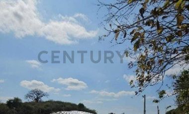 HACIENDA PRODUCTORA DE BIOMASA DE CBD