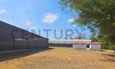 HACIENDA PRODUCTORA DE BIOMASA DE CBD
