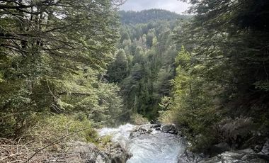 CAMPO SECTOR HUERQUEHUE, TERMAS RIO BLANCO