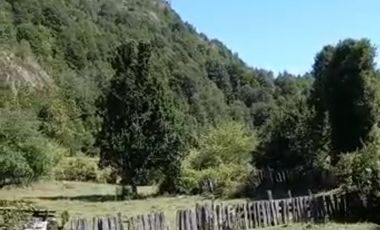 CAMPO SECTOR HUERQUEHUE, TERMAS RIO BLANCO