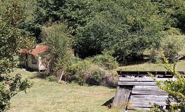 CAMPO SECTOR HUERQUEHUE, TERMAS RIO BLANCO