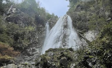 CAMPO SECTOR HUERQUEHUE, TERMAS RIO BLANCO
