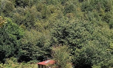 CAMPO SECTOR HUERQUEHUE, TERMAS RIO BLANCO