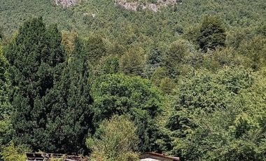 CAMPO SECTOR HUERQUEHUE, TERMAS RIO BLANCO