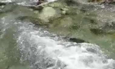 CAMPO SECTOR HUERQUEHUE, TERMAS RIO BLANCO