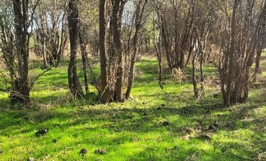 Parcela en Venta en la dehesa, placilla