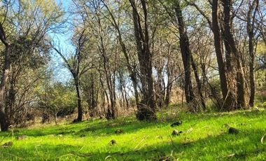 Parcela en Venta en la dehesa, placilla