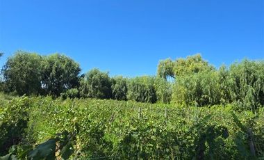 Parcela en Venta en Nenquen
