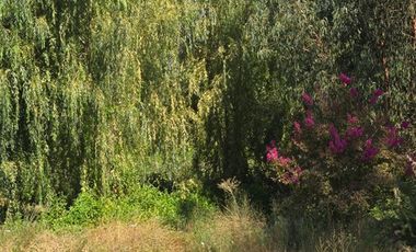 Parcela en Venta en Nenquen