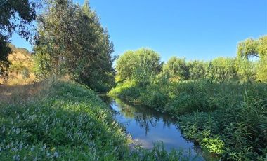 Parcela en Venta en Nenquen