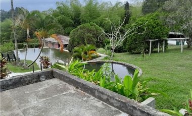 VENDO FINCA EN CALIMA DARIEN